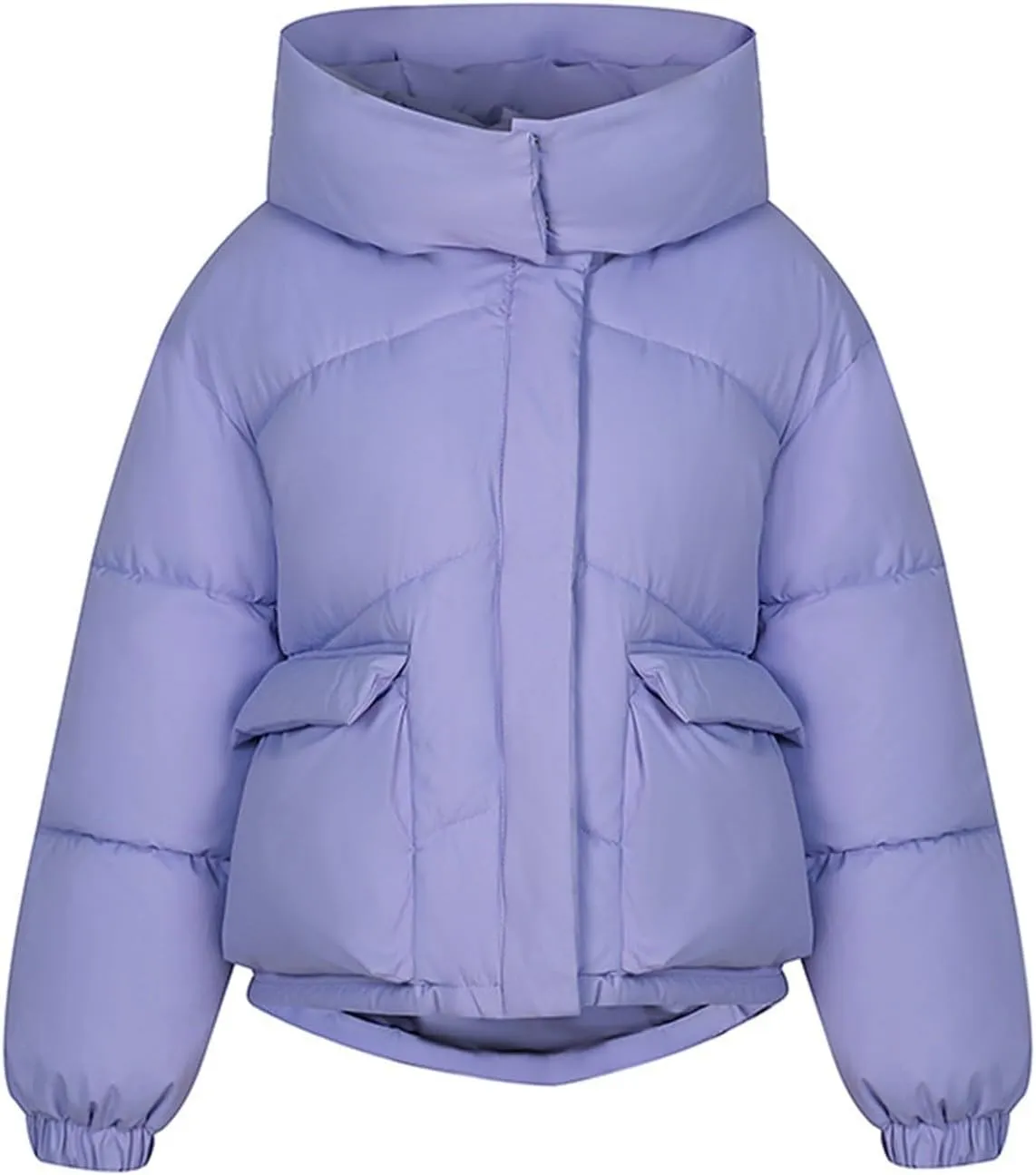 Women's Plus Size Lightweight Puffer Jacket Packable Winter Warm Quilted Bubble Coat Waterproof Windproof Hooded
